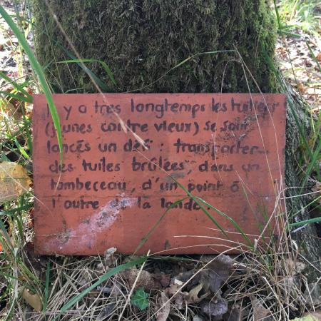 Agrandir l'image
